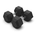 Rubber Hex Dumbbells 35kg (PAIR)
