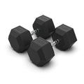 Rubber Hex Dumbbells 40kg (PAIR)