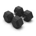 Rubber Hex Dumbbells 45kg (PAIR)